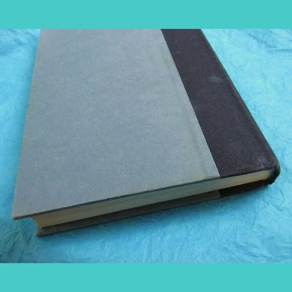 Book: Breaking the Surface, by Greg Louganis and Eric Marcus - Picture 13 of 15